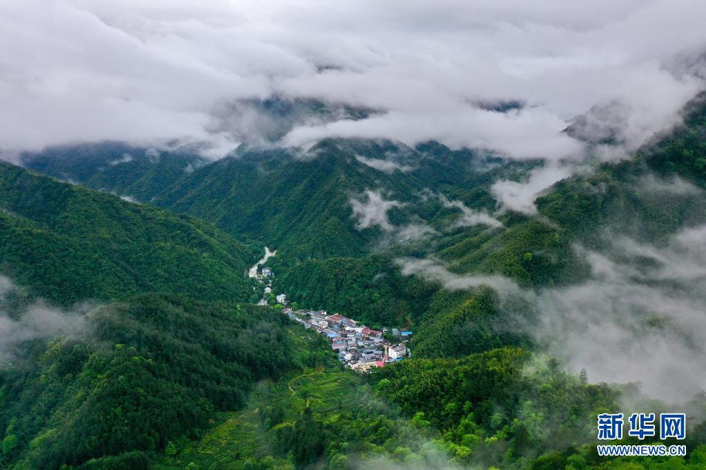 雨后武夷美