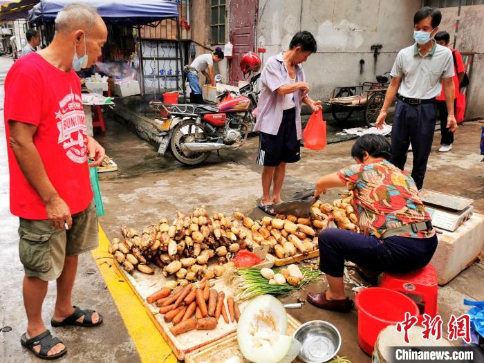 “荷”你到广东侨乡台山“藕”遇乡味