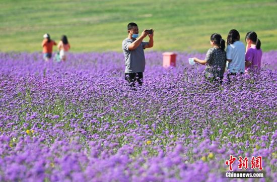 兰州新区临港花海美景如画：门户机场置身其中