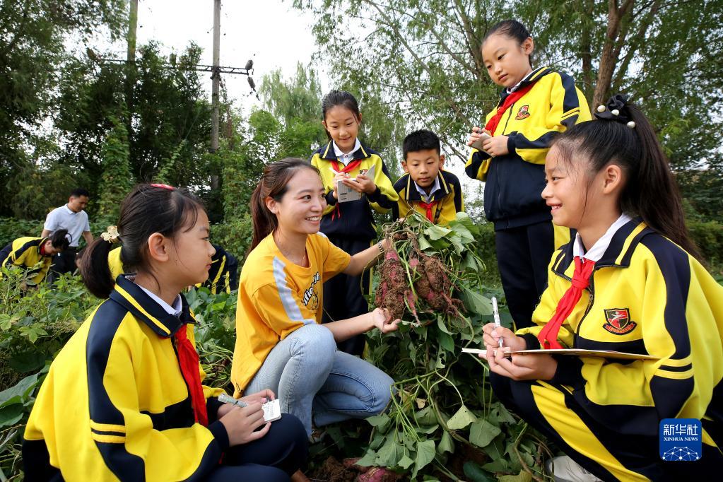 小学生的“农耕课”