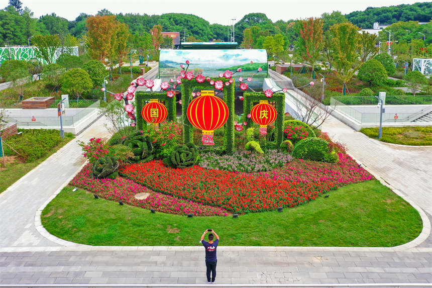 湖北武汉：繁花满城盛开 盛妆喜迎国庆