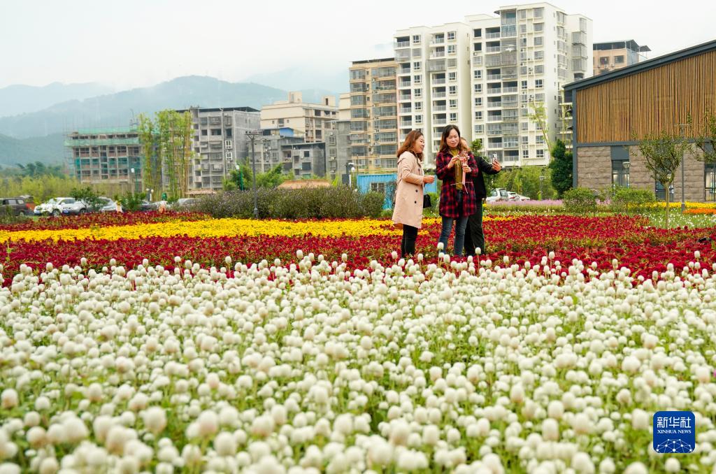 重庆开州打造宜居宜业宜游的新农村