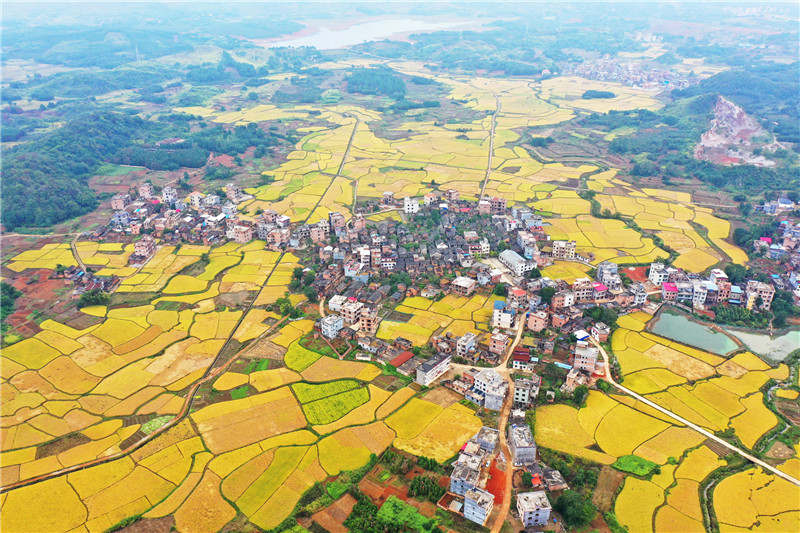 湖南蓝山：美丽田园 秋景如画