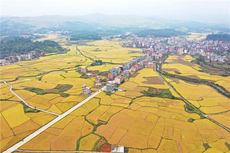 湖南蓝山：美丽田园 秋景如画