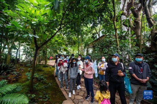 昆明植物园“扶荔宫”实行线上预约参观