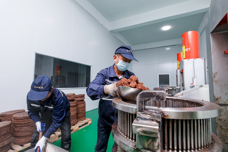 安徽祁门：万亩油茶喜获丰收 生态种植助农致富