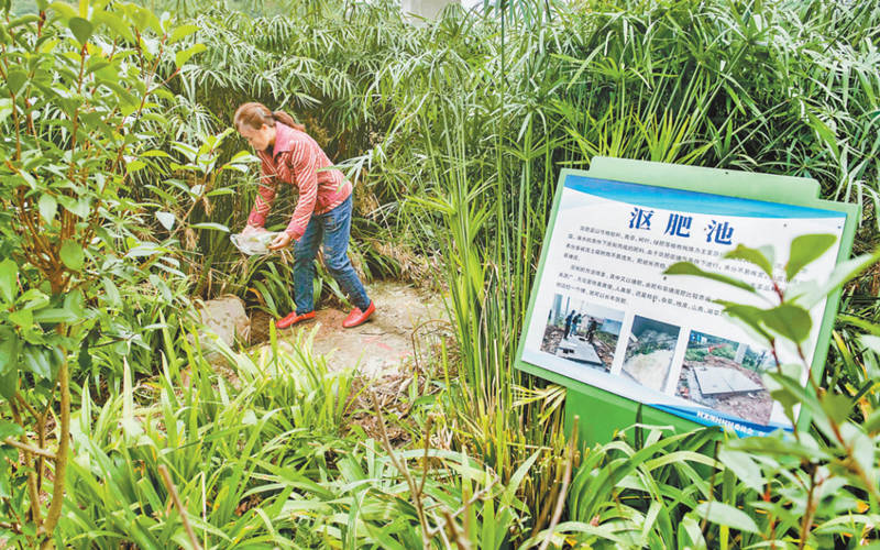 厨余垃圾“变身”有机肥料