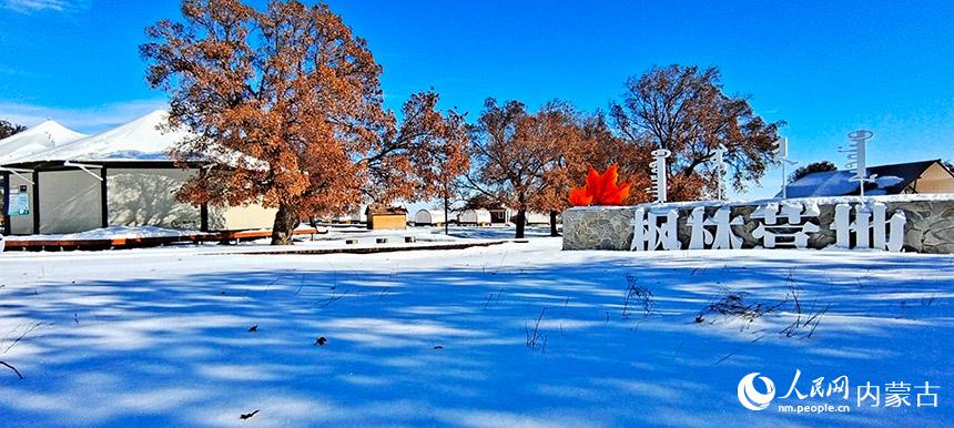 内蒙古兴安盟：雪后赏枫 意更浓景更美