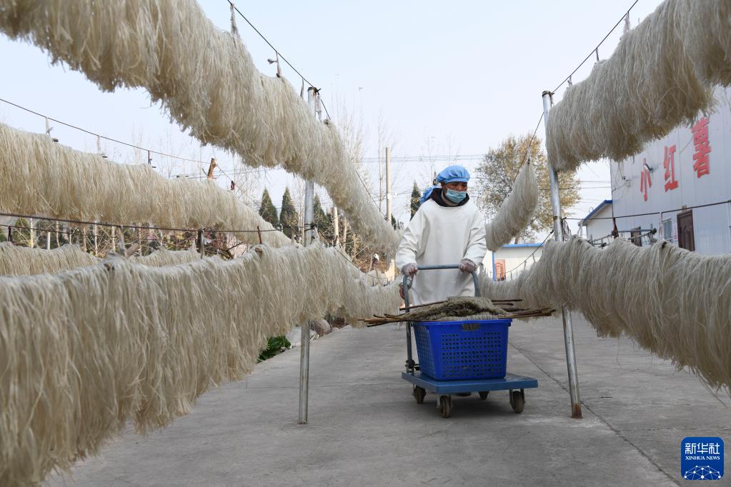 河南济源：粉条加工增收忙