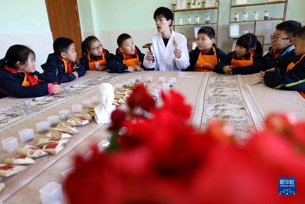 “百草园”里学习中医药知识