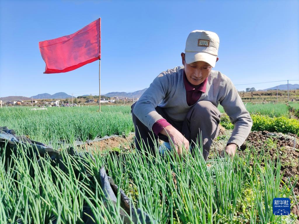 帮扶不停步 群众更幸福——我国脱贫人口最多地级市易地扶贫搬迁后续观察