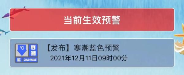 寒潮蓝色预警！最低温零下6℃，青岛迎入冬来最冷一天