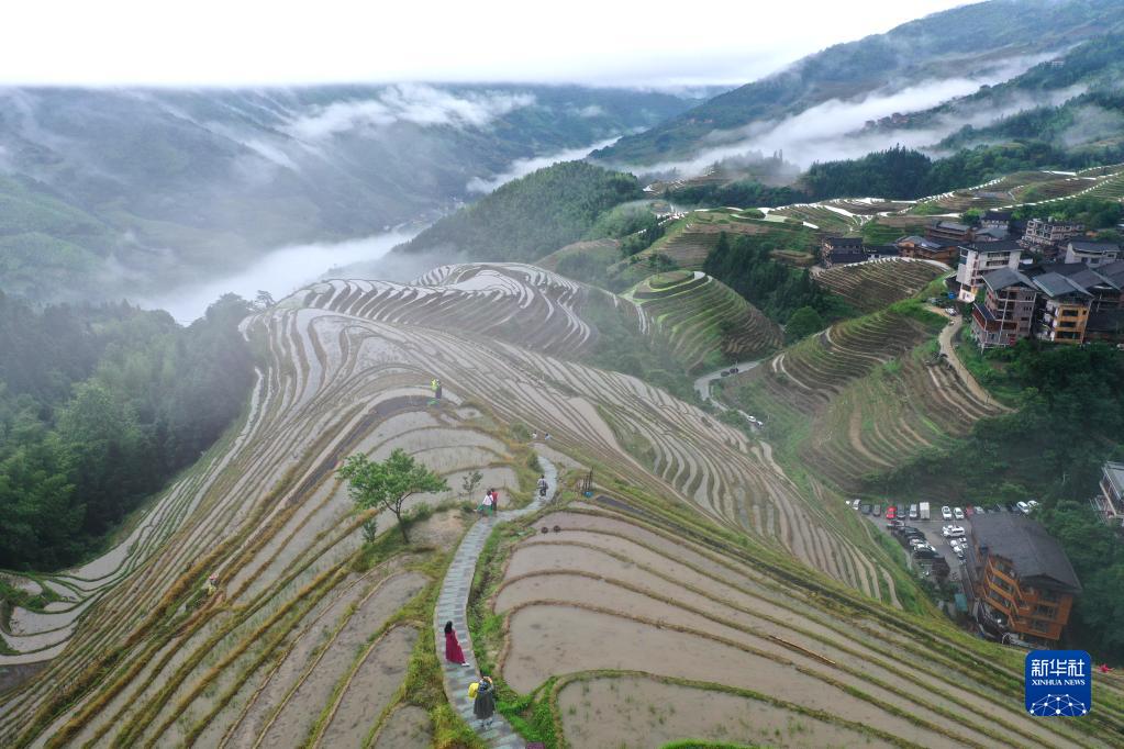 广西：产业兴，乡村旺