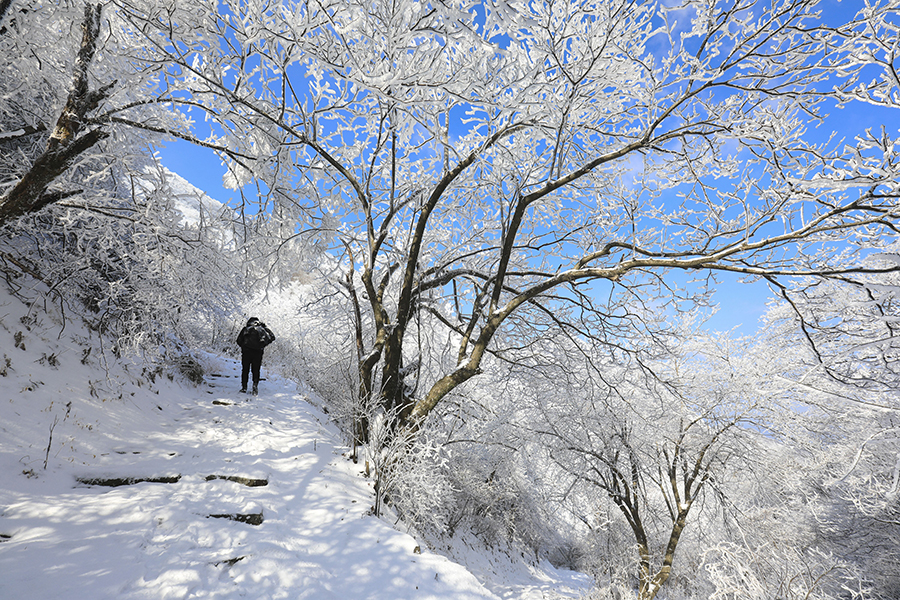 雪后初霁的旌歙古道 银装素裹分外妖娆