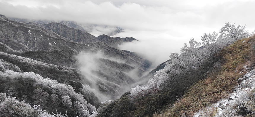 资源县的雪景太好看了