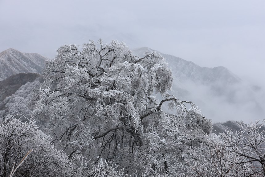 资源县的雪景太好看了