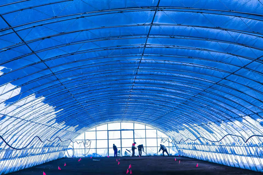 来自春耕备耕一线的龙江“画卷”