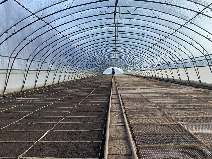 来自春耕备耕一线的龙江“画卷”