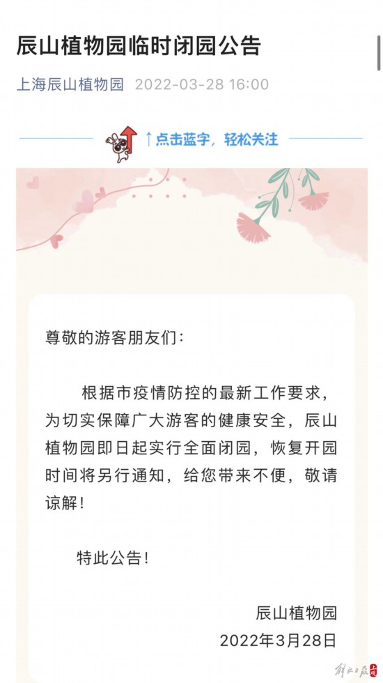 辰山植物园暂时闭园，镜头带你云赏樱