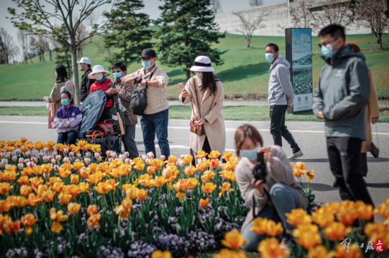 辰山植物园暂时闭园，镜头带你云赏樱