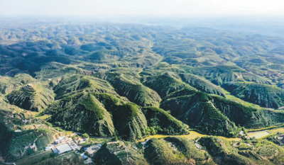 走进陕北高西沟村