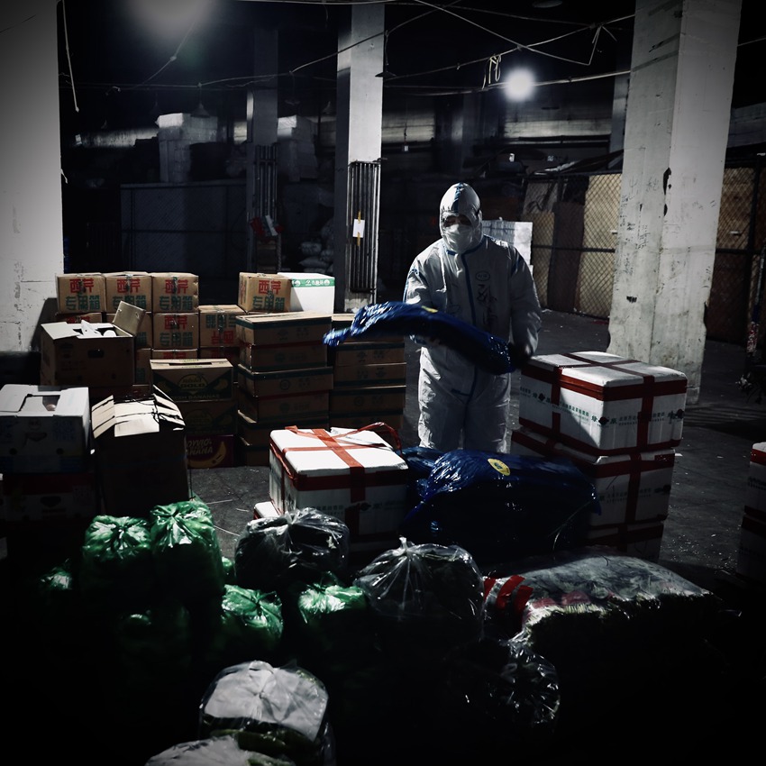 @长春人：新鲜蔬菜正陆续送达，请做好准备！