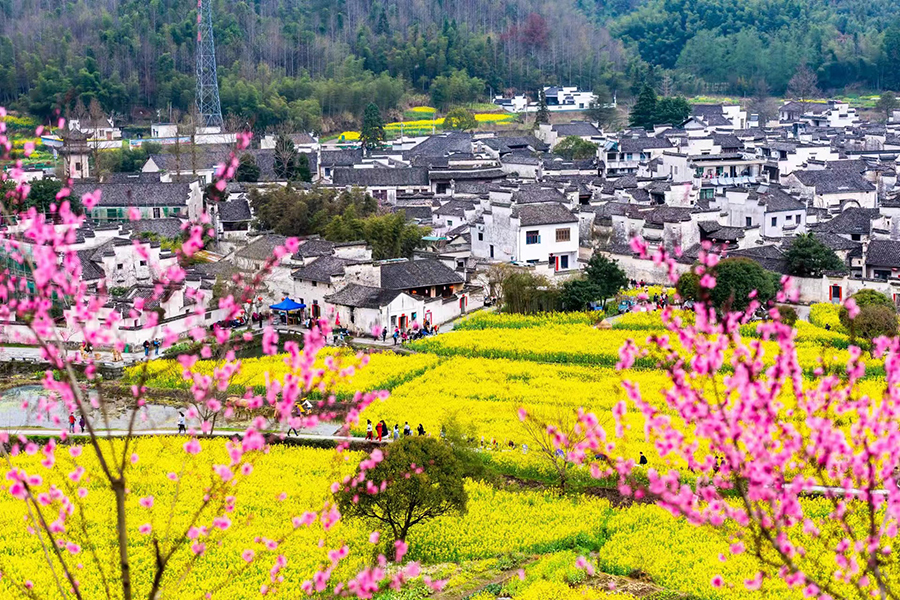 春暖花开 美在徽州