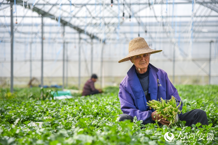 安徽肥西：防疫不松劲 生产不停工