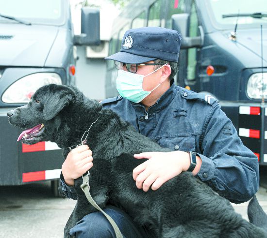 警犬可乐 半路出家的搜爆能手