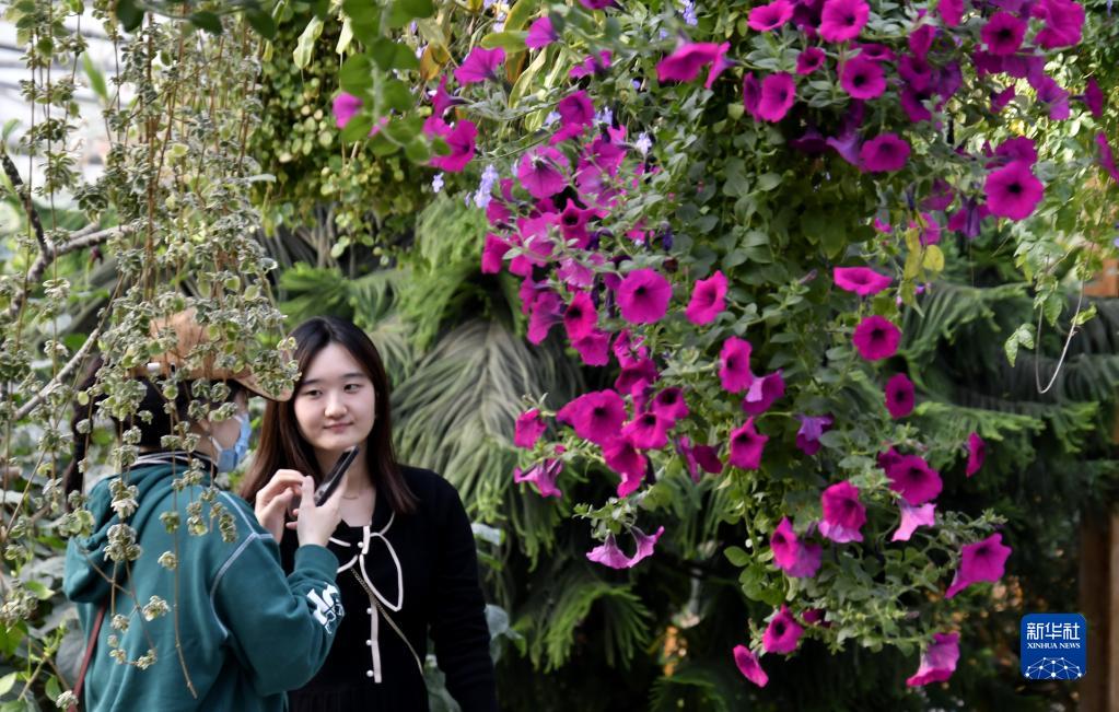 清明时节赏春花