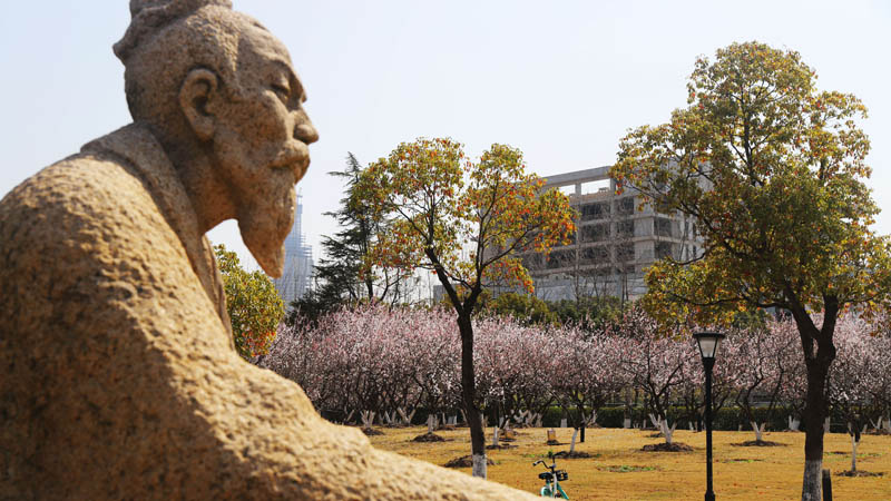 花儿依旧笑春风，一组图看申城战“疫”日常