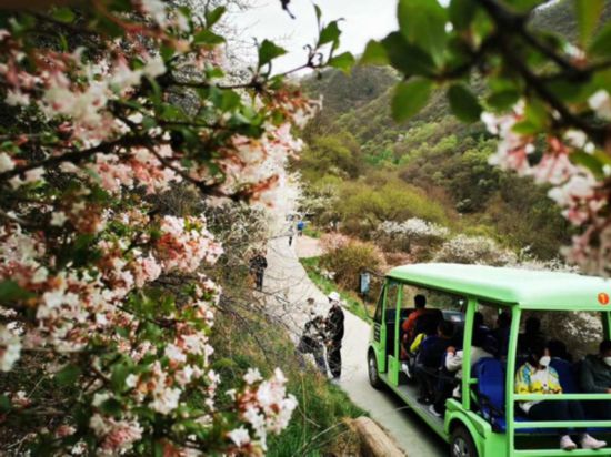 清明小长假 宁夏A级景区共接待游客49.38万人次