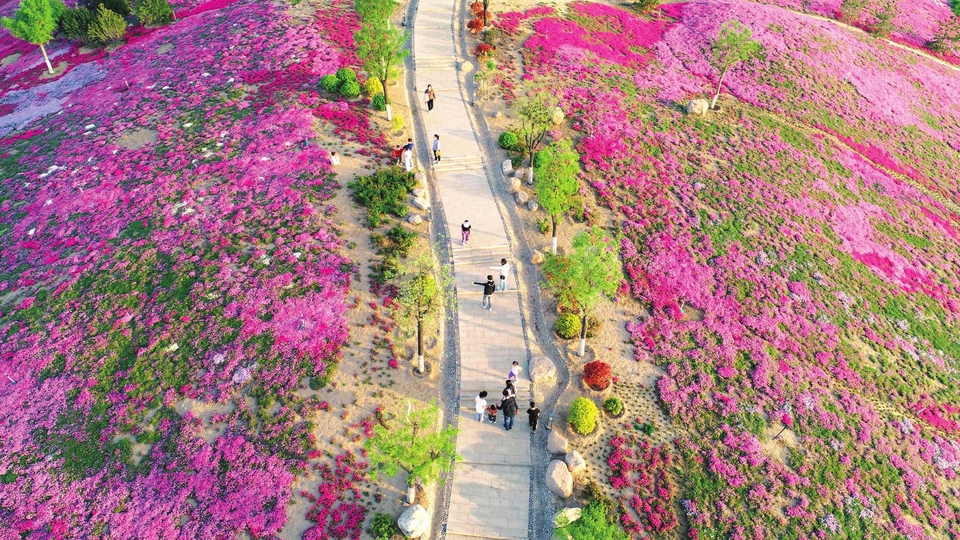 亮丽的风景线