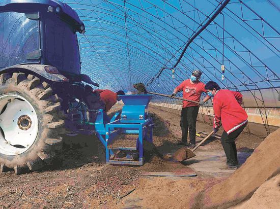 “疫”去春来唤花开——聚焦实现社会面清零目标后的吉林市