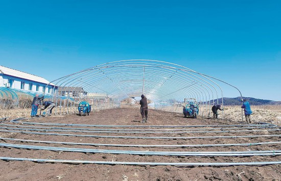 “疫”去春来唤花开——聚焦实现社会面清零目标后的吉林市