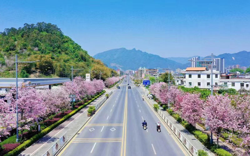 韶关乳源打造“一年四季花满城”