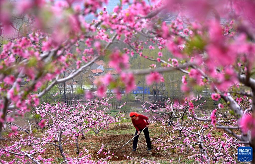 花香伴农忙