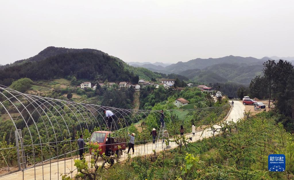 巴山小山村的蜕变