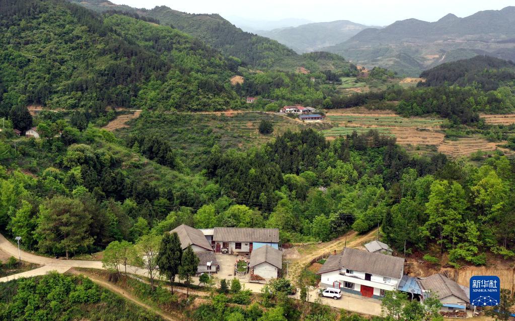 巴山小山村的蜕变