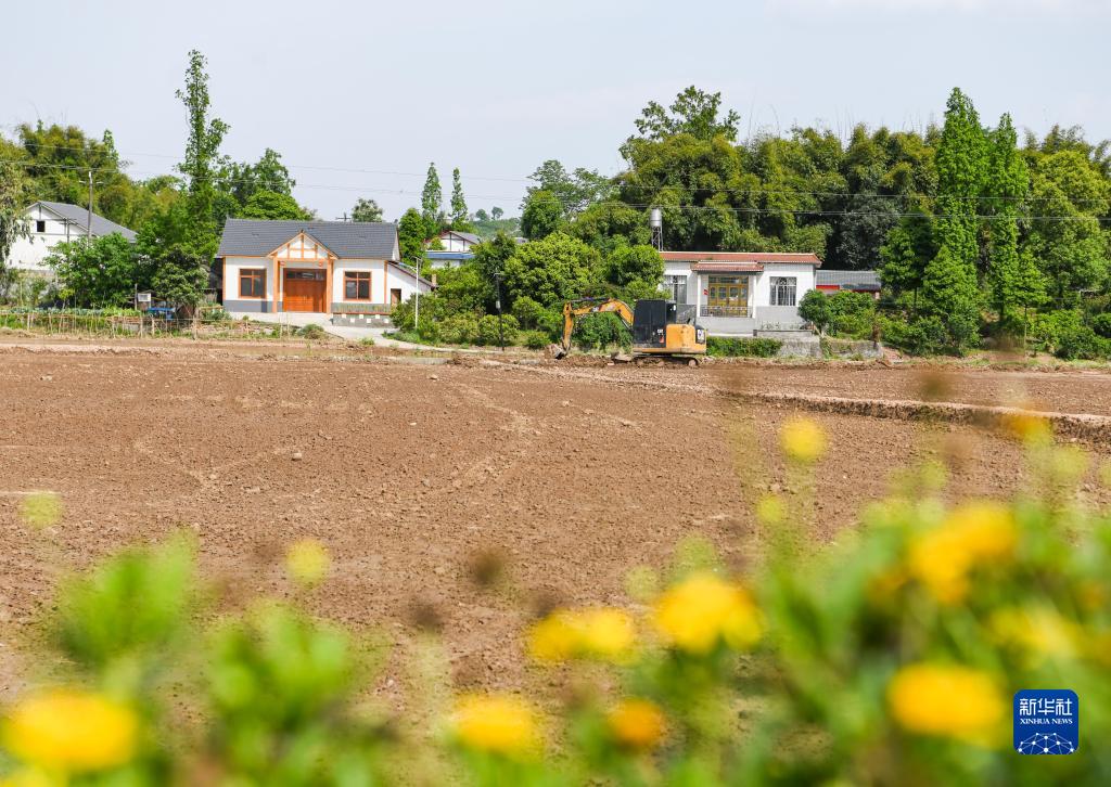 四川青神：抢抓农时 扩面增产