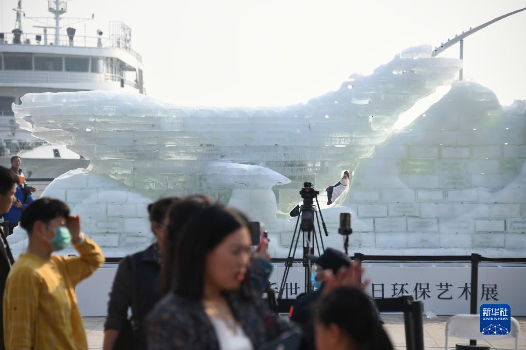 青岛举办“没有一头鲸想这样告别”环保艺术展