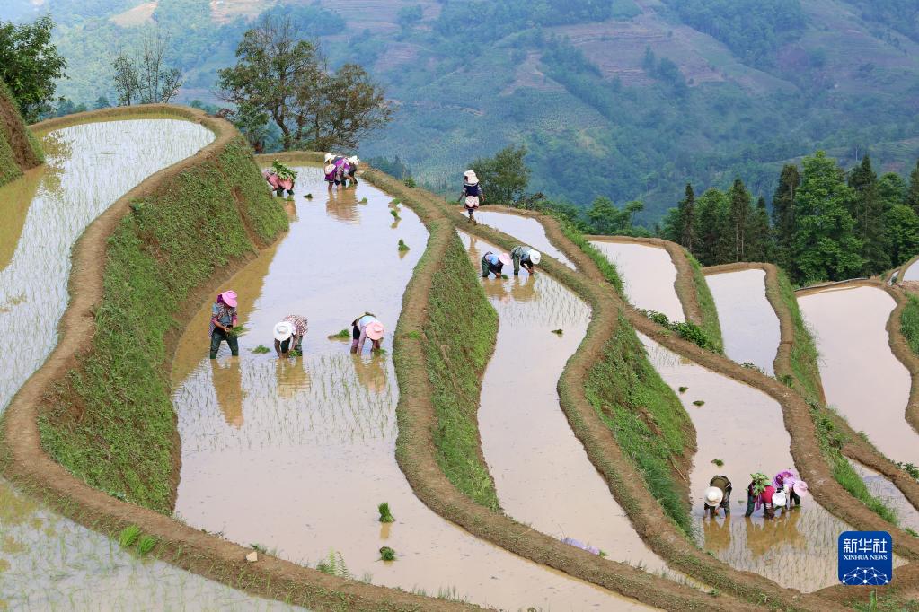 田间地头“织锦”忙