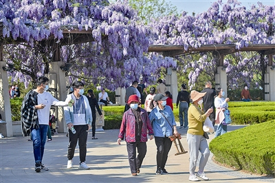 青岛：一座宜游城市 千百种有趣生活