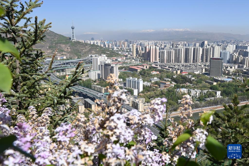 高原古城变身“高原花城”