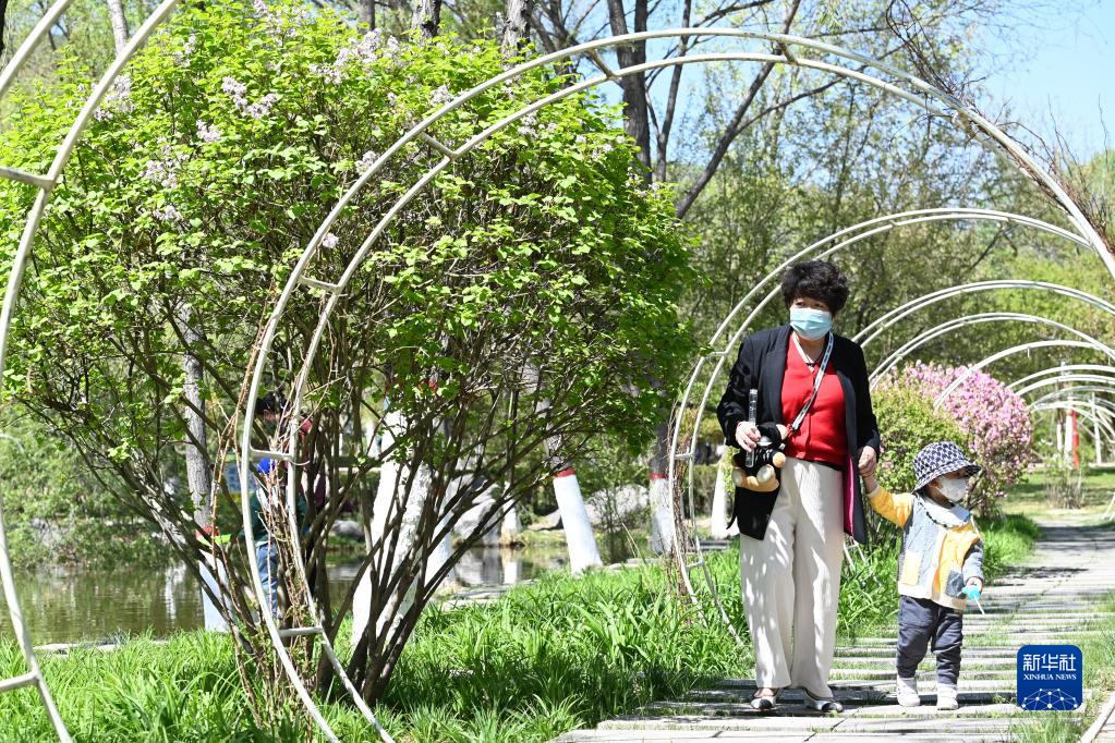 高原古城变身“高原花城”