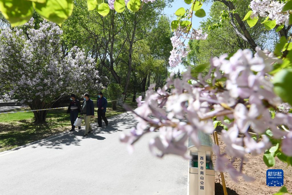 高原古城变身“高原花城”