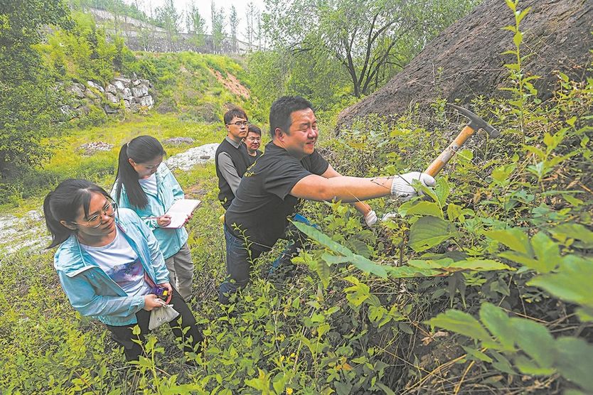 湖北郧阳龙蛋之谜