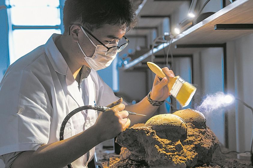 湖北郧阳龙蛋之谜