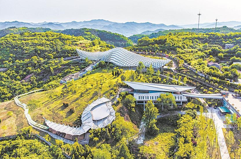 湖北郧阳龙蛋之谜