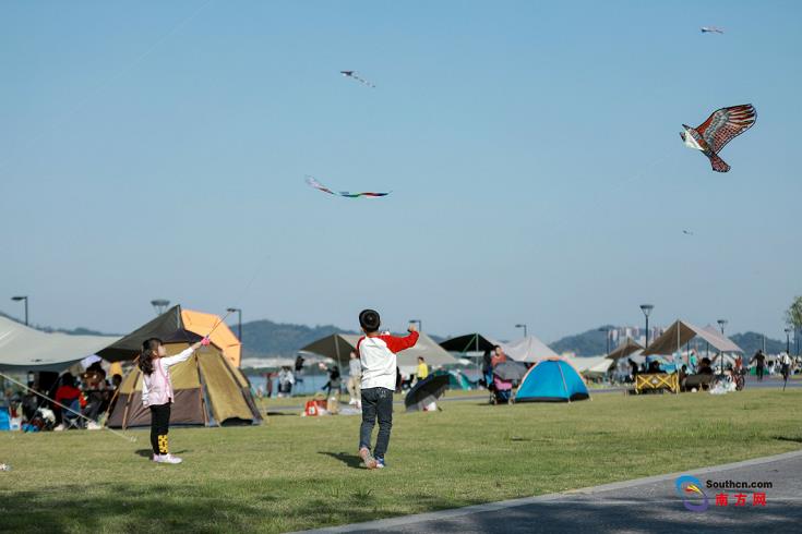 喝茶休憩放风筝 广州南沙灵山岛尖迎来露营热潮